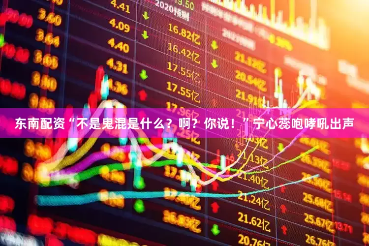 东南配资“不是鬼混是什么？啊？你说！”宁心蕊咆哮吼出声