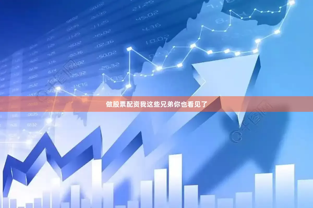 做股票配资我这些兄弟你也看见了