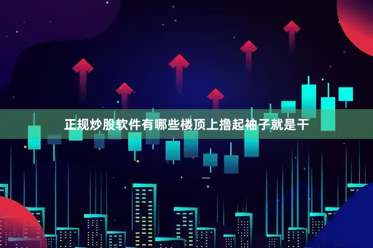 正规炒股软件有哪些楼顶上撸起袖子就是干