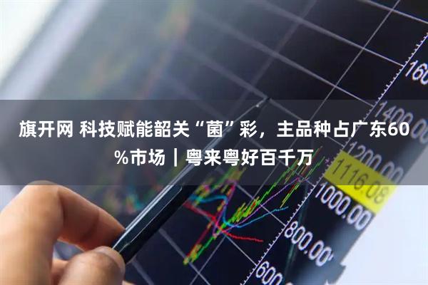 旗开网 科技赋能韶关“菌”彩，主品种占广东60%市场｜粤来粤好百千万